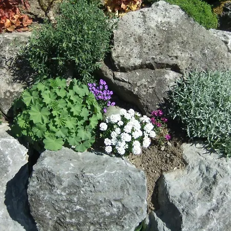 Apartamento Muellerstube Messkirch